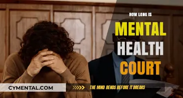 Understanding the Duration of Mental Health Court Proceedings