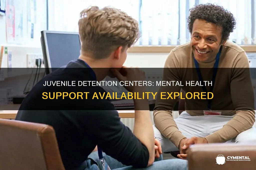 how many juvenile detention centers offer mental help