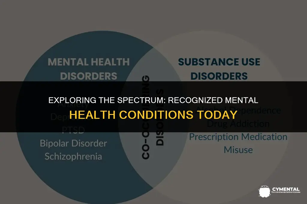 how many mental health conditions are currently recognized
