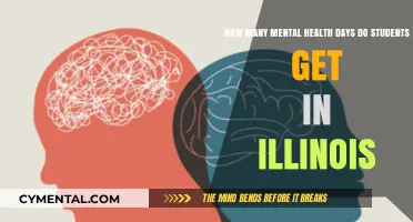 Understanding Mental Health Days for Illinois Students: A Guide