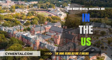 Exploring the Landscape of Mental Health Facilities in the United States