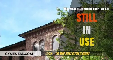 Exploring the Current Status of State Mental Hospitals: A Comprehensive Overview