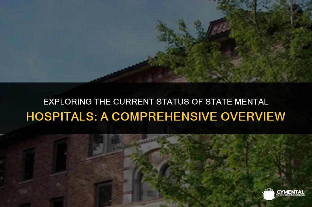 how many state mental hospitals are still in use