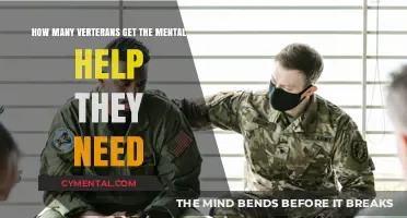 Veterans' Mental Health Crisis: Are We Providing Enough Support?