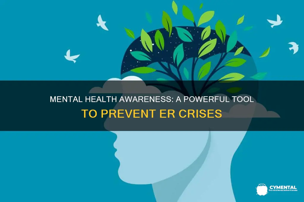 how mental health awareness can help er crisis