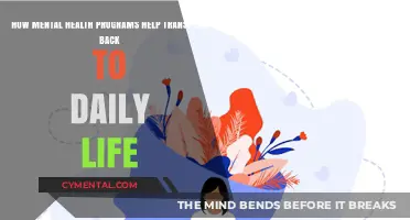 Mental Health Programs: Bridging the Gap to Everyday Life