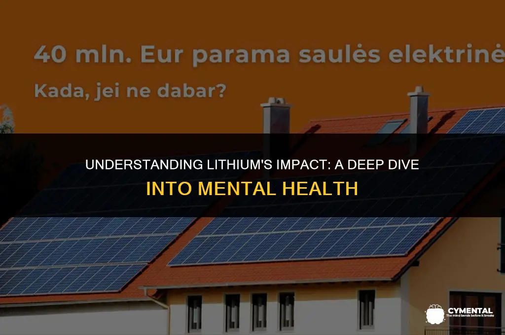 how mentally ill is someone on lithium