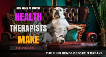 Unveiling the Salary Range for Mental Health Therapists: A Comprehensive Guide