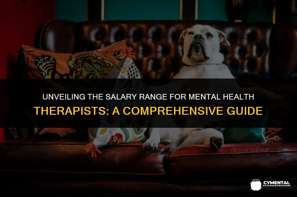 how much do mental health therapists make