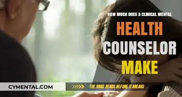 Exploring the Salary Range for Clinical Mental Health Counselors