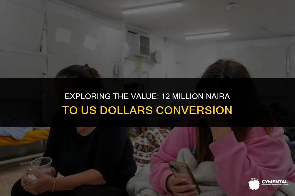 how much is 12 million naira in us dollars