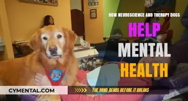 Neuroscience Meets Therapy Dogs: Enhancing Mental Health Naturally
