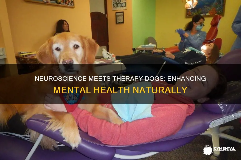 how neuroscience and therapy dogs help mental health