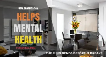 Organized Mind, Calm Life: How Structure Boosts Mental Well-Being