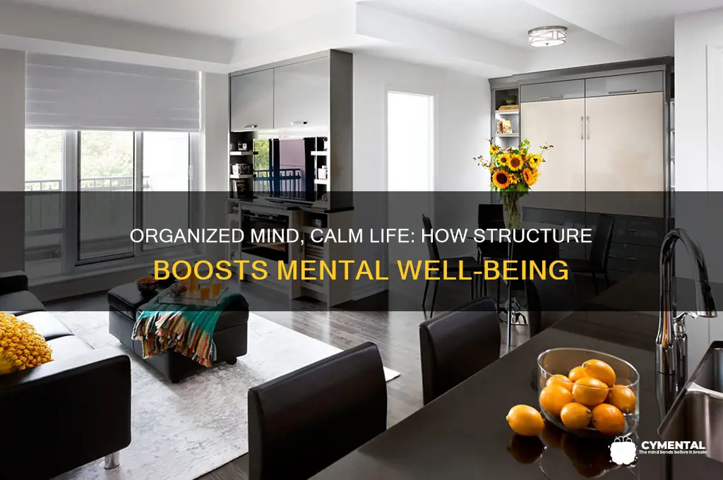 how organization helps mental health