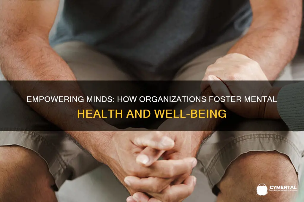 how organizations help mental health