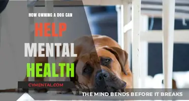 Paws for Thought: How Dogs Boost Mental Health and Well-Being