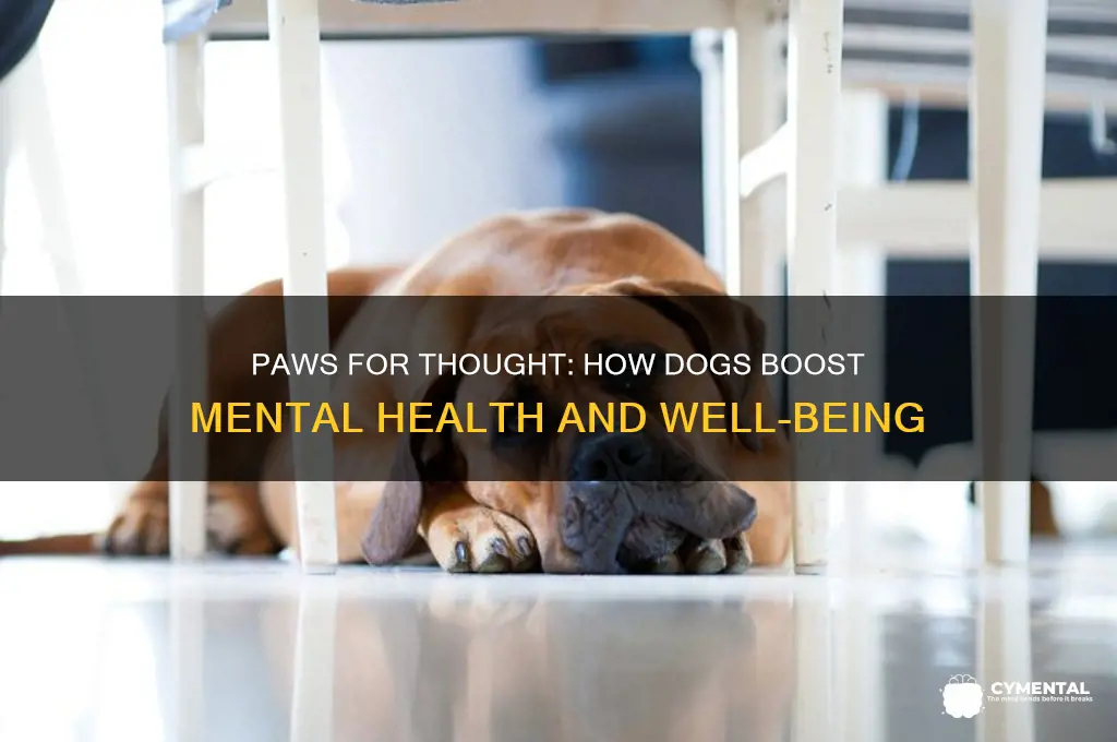 how owning a dog can help mental health