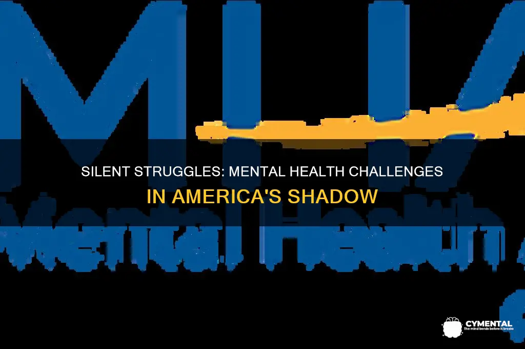 how people in the us suffer from mental health issues