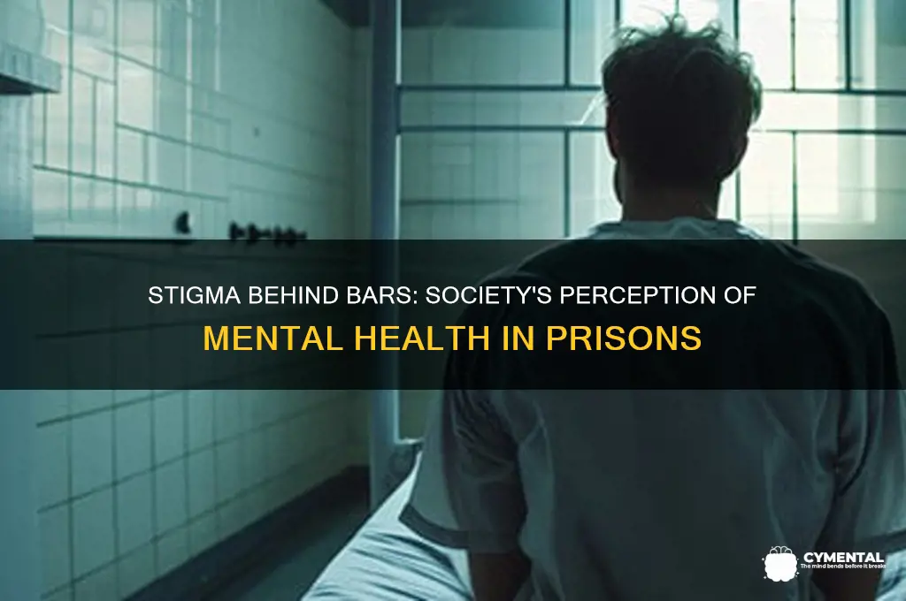how people view people with mental issues in prision