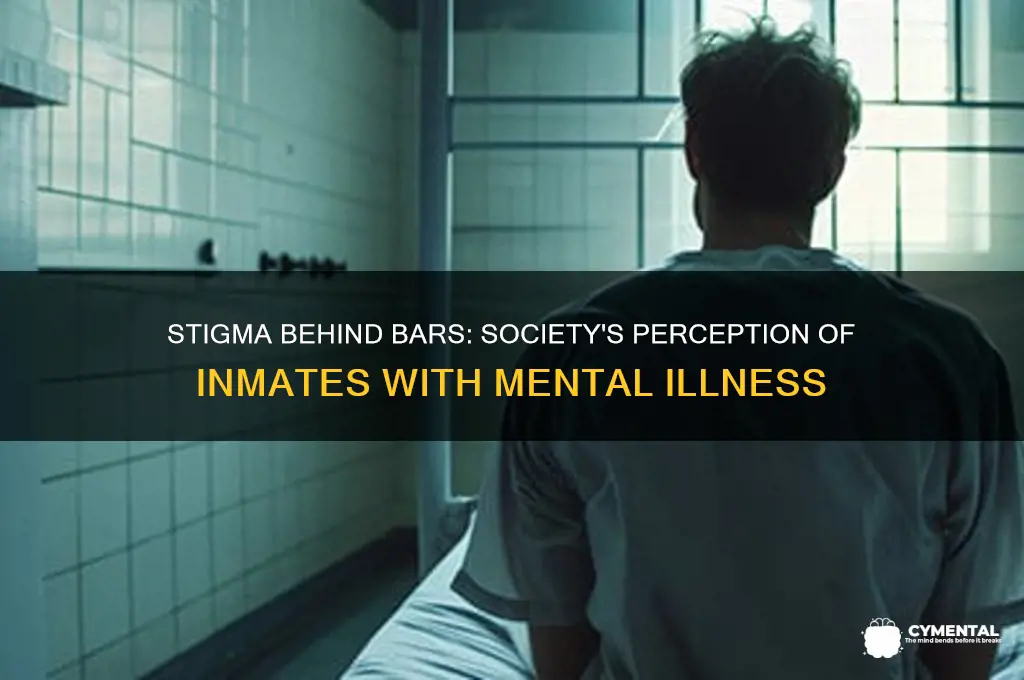 how people view people with mental issues in prison