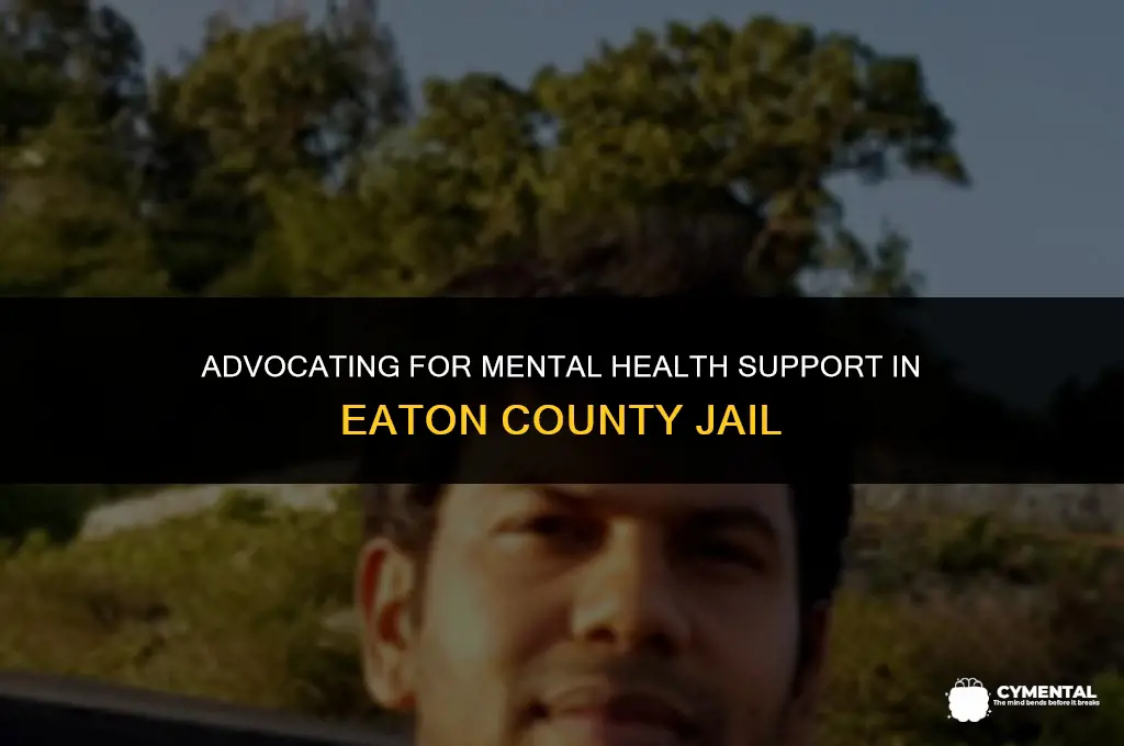 how petition someone for mental health in eaton county jail