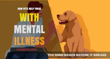 Healing Paws: How Pets Provide Comfort and Support for Mental Health