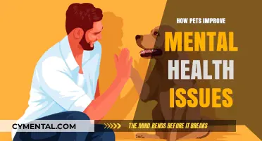 Pets and Mental Health: How Furry Friends Heal Minds