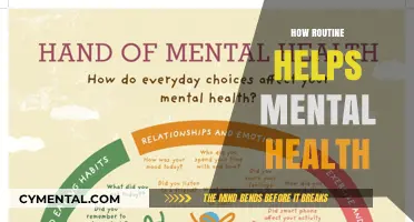 Daily Routines: Unlocking Mental Clarity and Emotional Stability