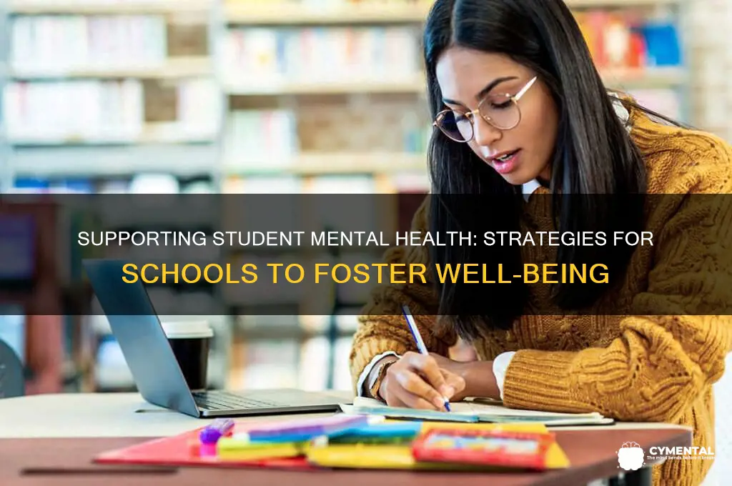 how schools can help kids with a mental illlness