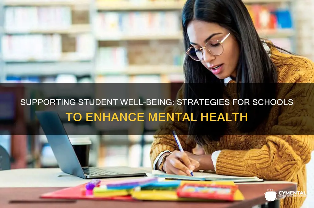 how schools can help mental health
