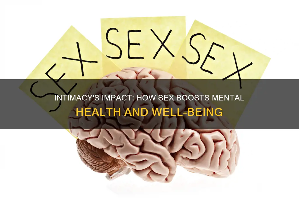 how sex helps mental health