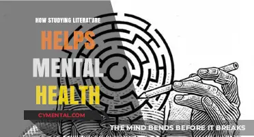 Literature's Healing Power: Enhancing Mental Health Through Reading and Reflection