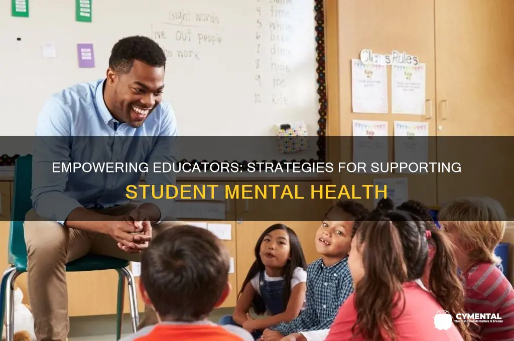 how teachers can help mental health