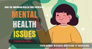America's Health Care Gap: Ignoring Mental Health in the System