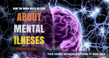 Understanding Mental Illness: The Brain's Role in Learning and Awareness