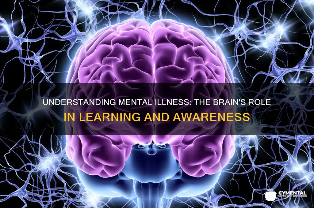 how the brain helps us lean about mental ilneses