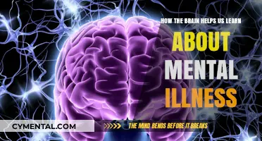 Unraveling Mental Illness: The Brain's Role in Understanding and Learning