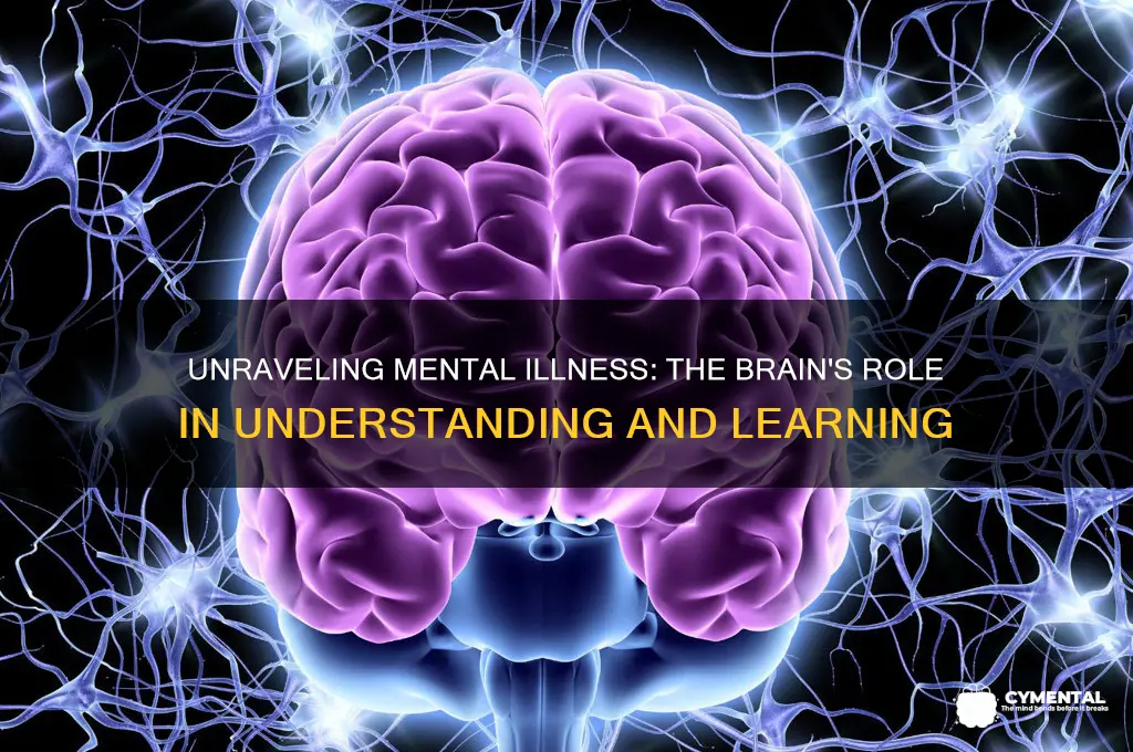 how the brain helps us learn about mental illness