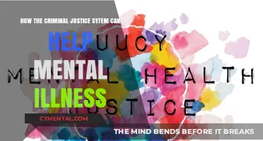 Healing Through Justice: Criminal Justice System's Role in Mental Health Support