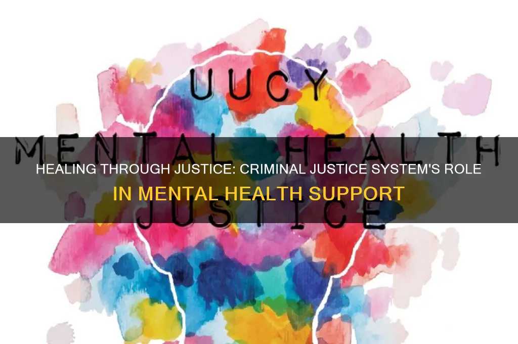 how the criminal justice sytem can help mental illness