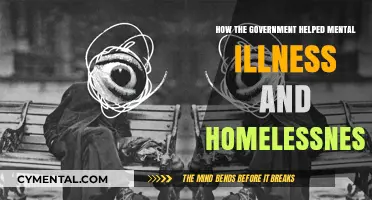Government Initiatives: Tackling Mental Illness and Homelessness Crisis