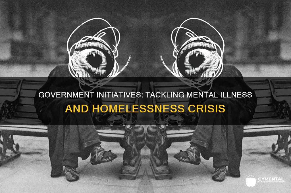 how the government helped mental illness and homelessness