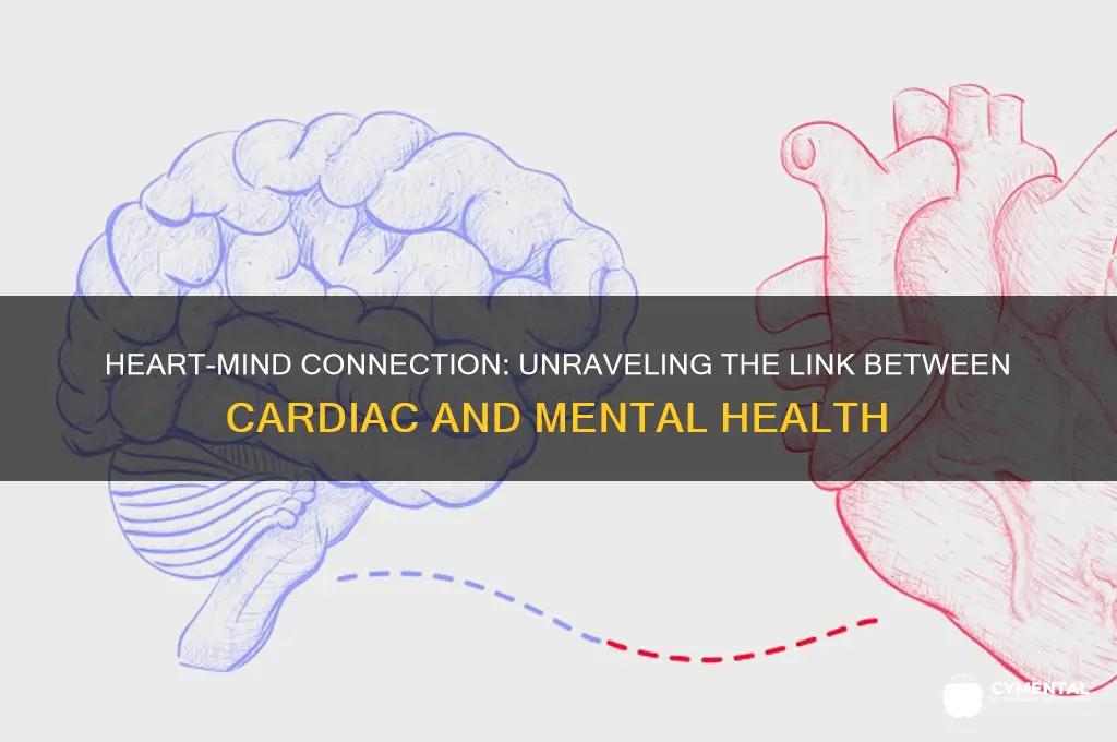 how the heart and mental health issues are related