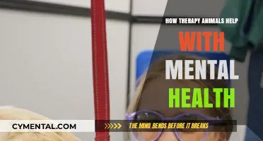 Therapy Animals: Healing Companions for Mental Health and Well-Being