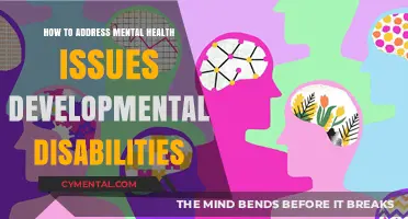 Supporting Mental Health in Individuals with Developmental Disabilities: Strategies and Insights