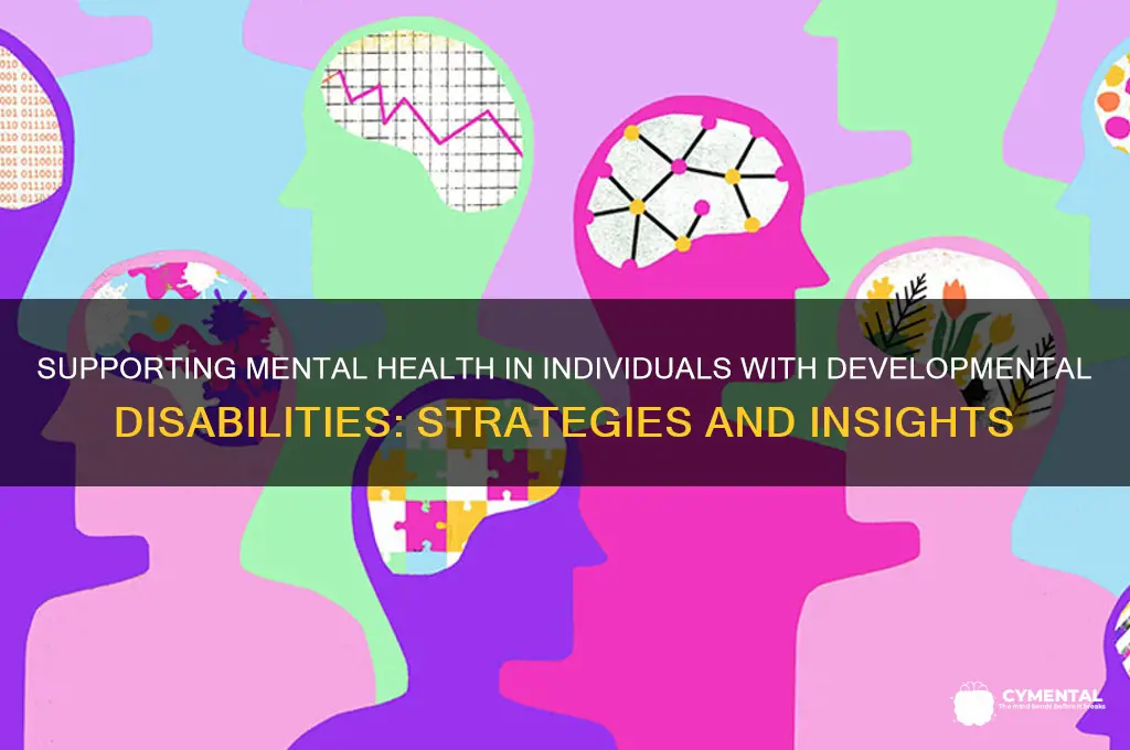 how to address mental health issues developmental disabilities