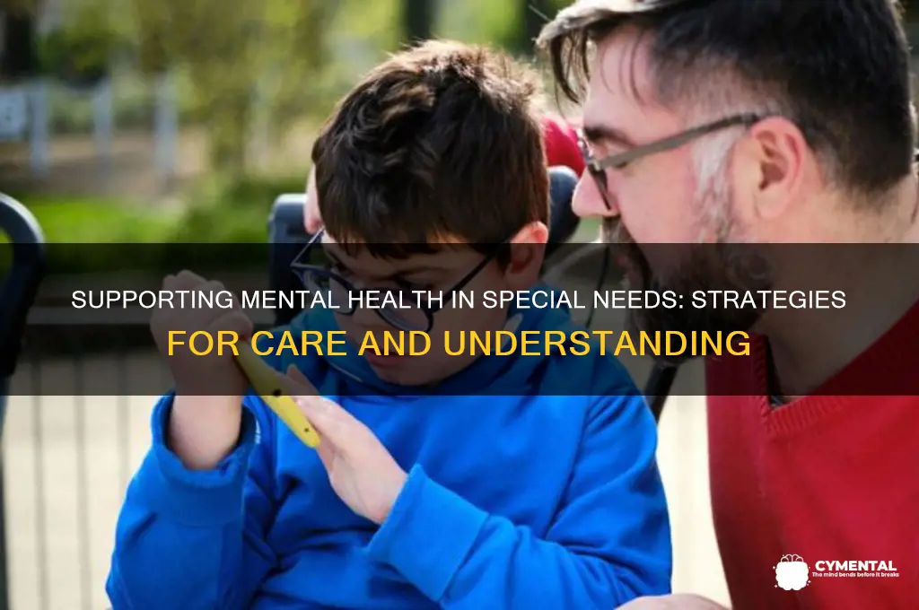 how to address mental health issues special needs