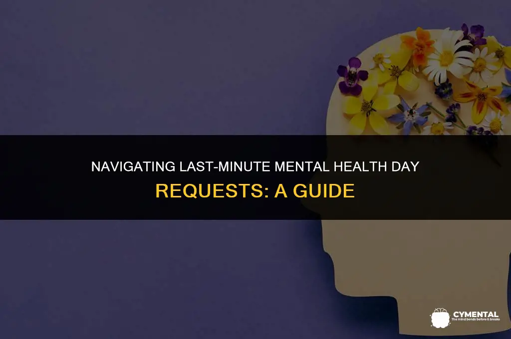 how to ask for a mental health day last minute