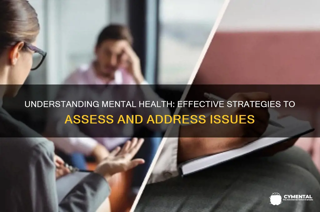how to asses mental health issues